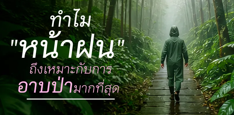 ทำไม 
