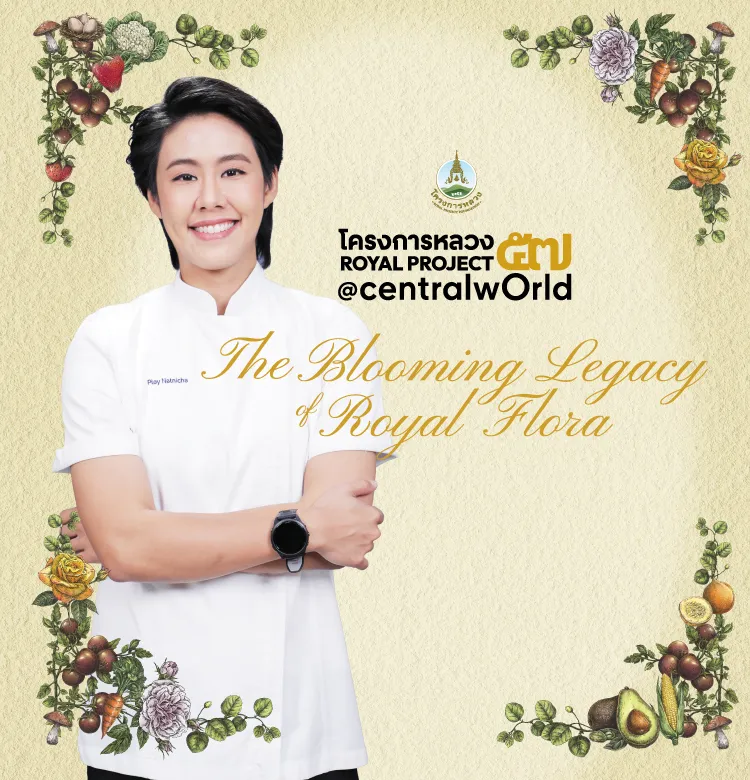 Royelbrissto 750x780