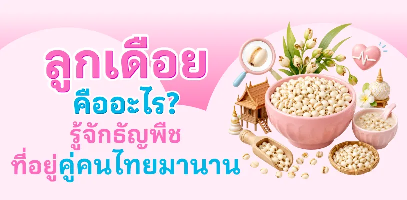 ลูกเดือย คืออะไร? รู้จักธัญพืชที่อยู่คู่คนไทยมานาน
