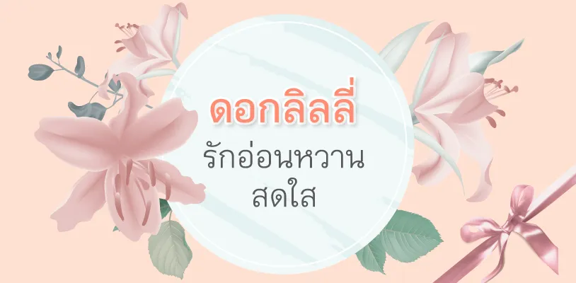 Lilies: Soft, Bright Love