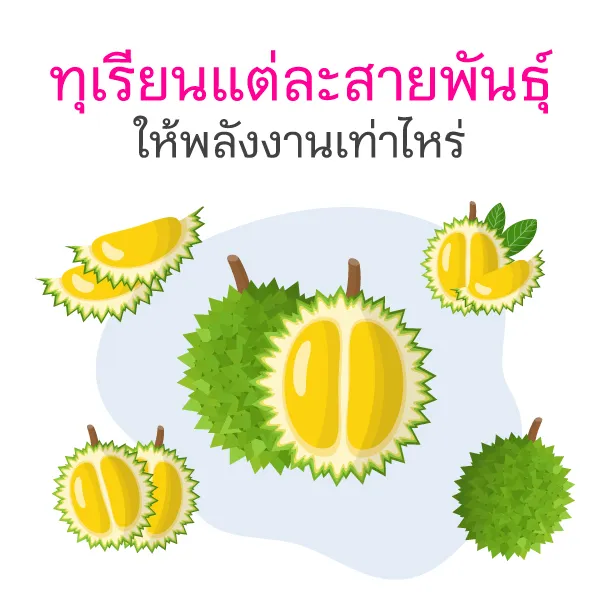 ทุเรียนและผลเสียต่อสุขภาพ