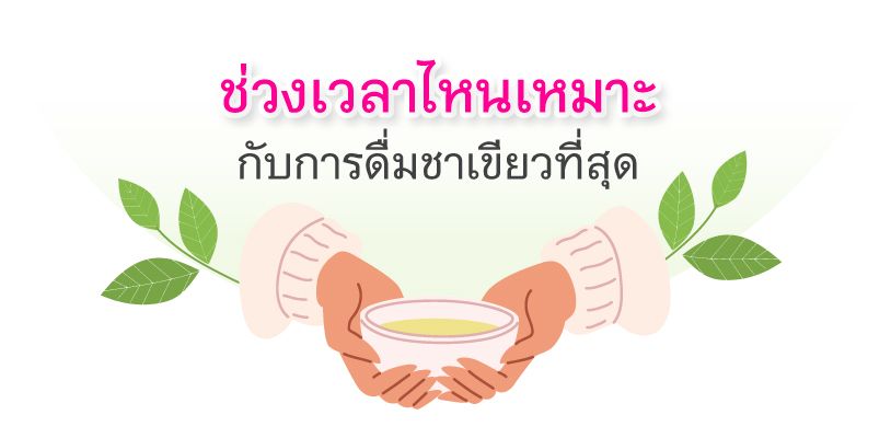 ช่วงเวลาดื่มชาเขียว ประโยชน์ชาเขียว