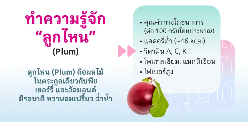 ทำความรู้จัก “ลูกไหน”