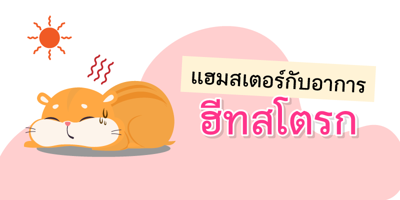 Hamsters and heat stroke