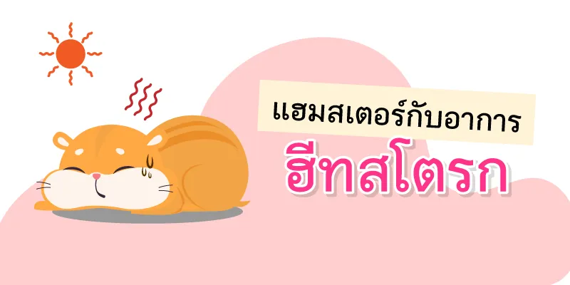 Hamsters and heat stroke