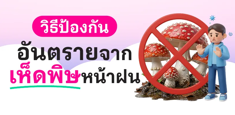 วิธีป้องกันอันตรายจากเห็ดป่าหน้าฝน
