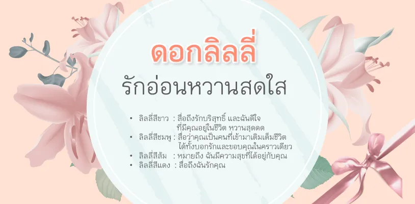 ดอกลิลลี่ รักอ่อนหวาน สดใส