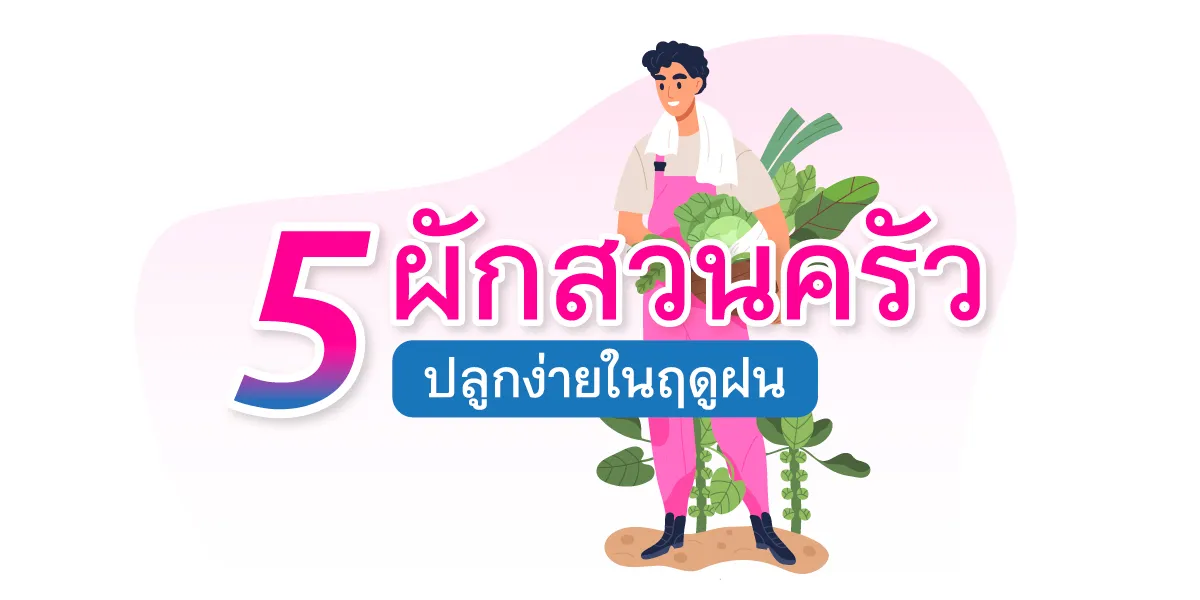 5ผักสวนครัว ปลูกง่ายในฤดูฝน Thumbnail1200 X600