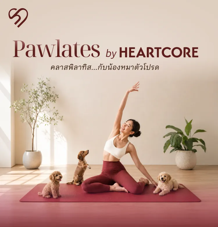 Pawlates Web 750x780