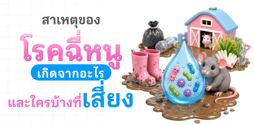สาเหตุของโรคฉี่หนู เกิดจากอะไร และใครบ้างที่เสี่ยง