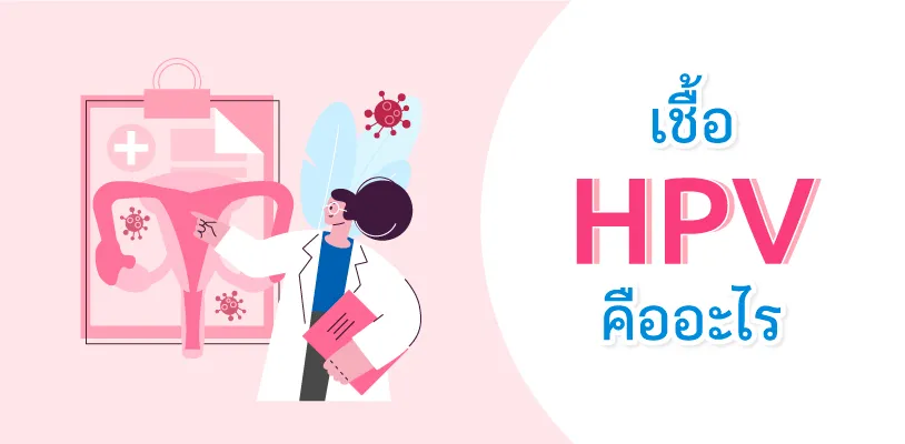 hpv คืออะไร