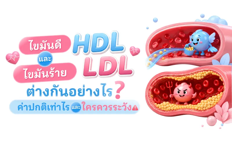 ไขมันดี HDL และ ไขมันร้าย LDL ต่างกันอย่างไร? ค่าปกติเท่าไร และใครควรระวัง