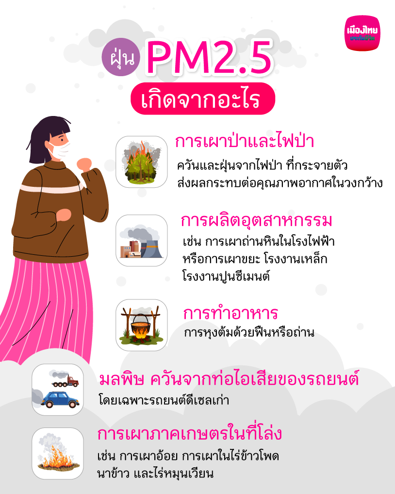 ฝุ่น PM2.5 เกิดจากอะไร