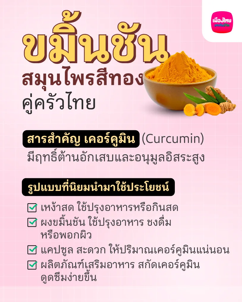 ทำความรู้จักกับขมิ้นชัน