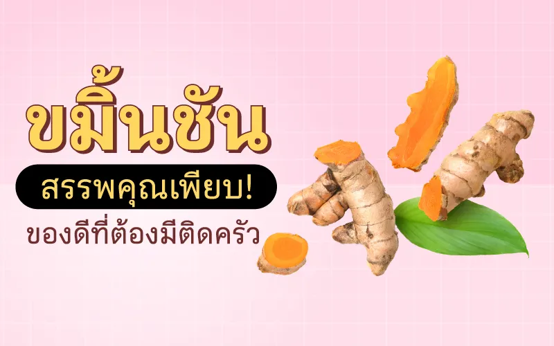 ขมิ้นชัน สรรพคุณเพียบ! ของดีที่ต้องมีติดครัว 