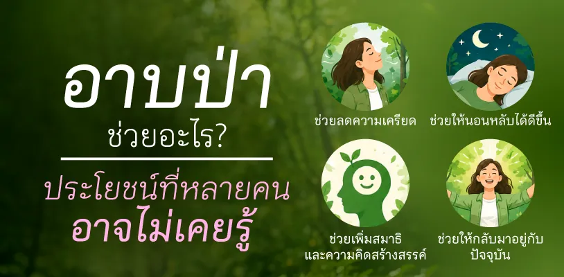 อาบป่าช่วยอะไร? ประโยชน์ที่หลายคนอาจไม่เคยรู้
