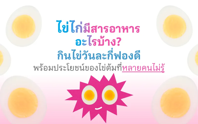  ไข่ไก่มีสารอาหารอะไรบ้าง กินไข่วันละกี่ฟองดี พร้อมประโยชน์ของไข่ต้มที่หลายคนไม่รู้