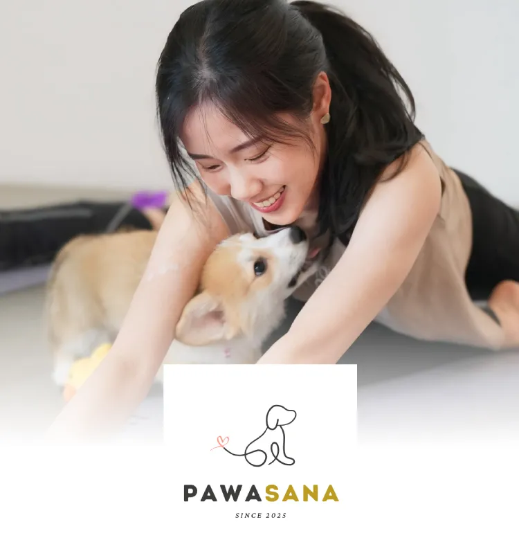 Pasawa 750x780