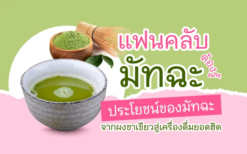 แฟนคลับมัทฉะต้องรู้! ประโยชน์ของมัทฉะ จากผงชาเขียวสู่เครื่องดื่มยอดฮิต