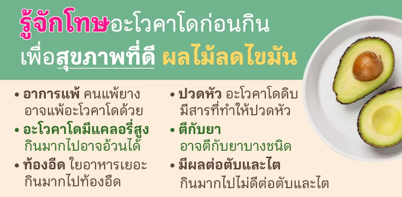 โทษของอะโวคาโด 