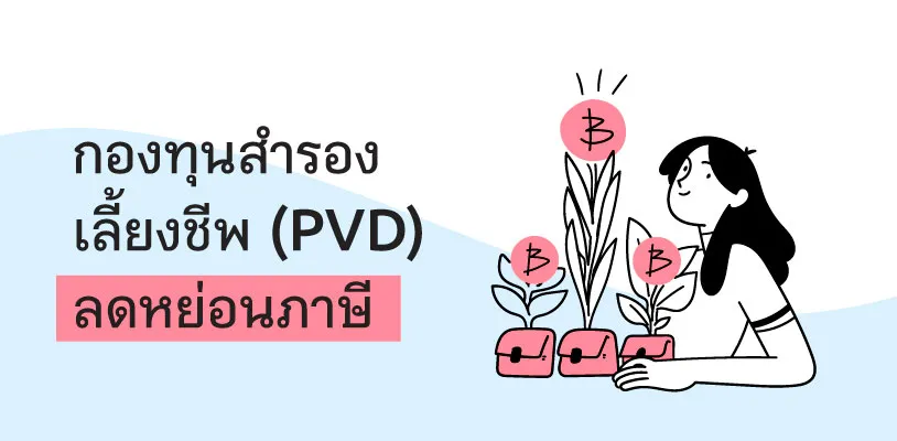 Provident Fund (PVD)