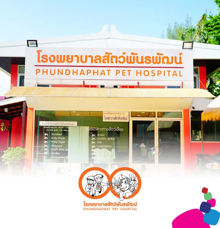 190 Phundhaphat 750x780 Px