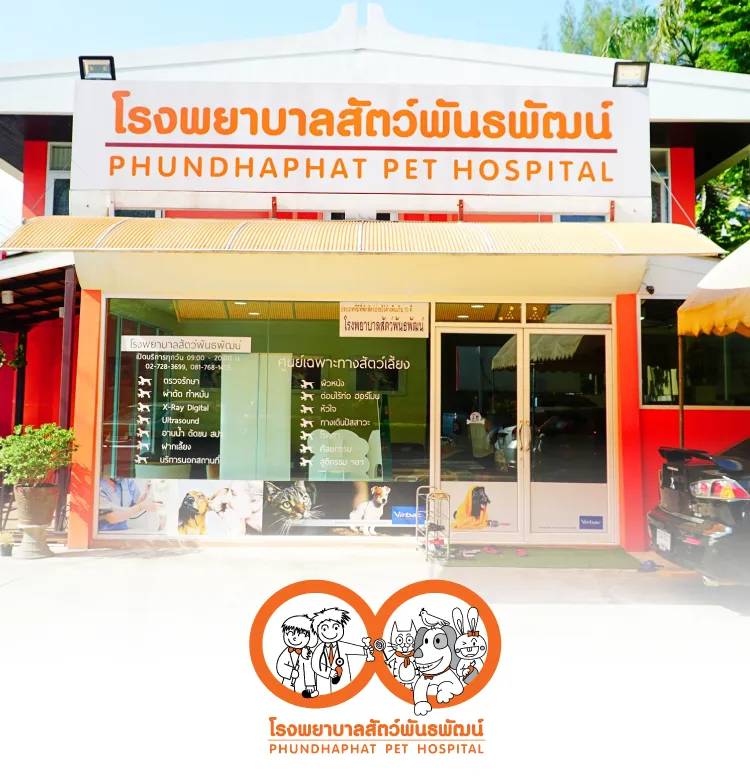 Phundhaphat Pet Hospital 750x780 Px