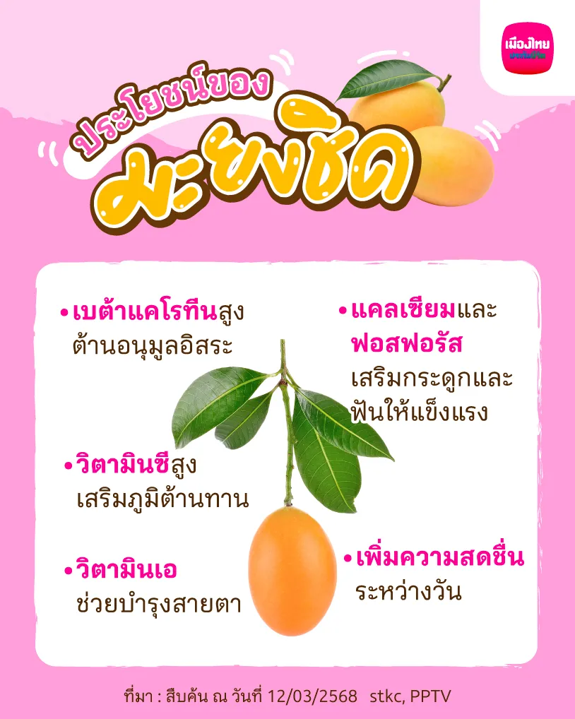 ประโยชน์ของมะยงชิด