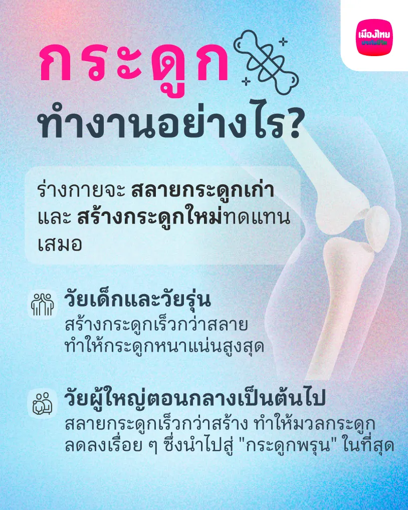 กระดูกทำงานอย่างไร?