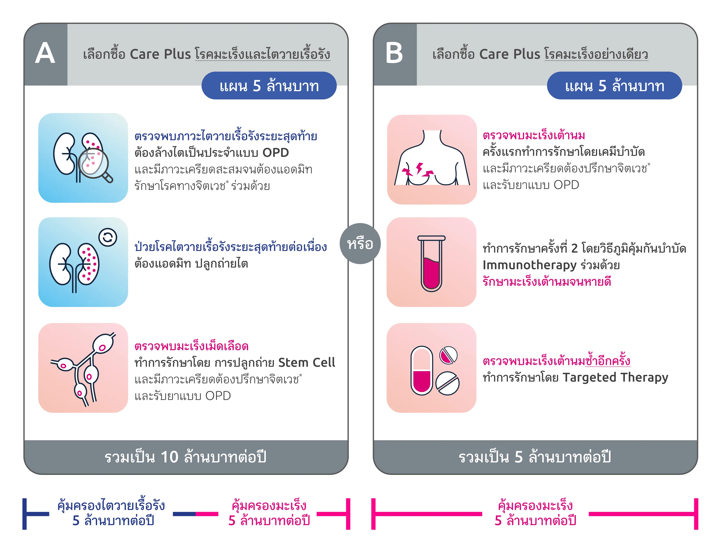 Care Plus Desktop