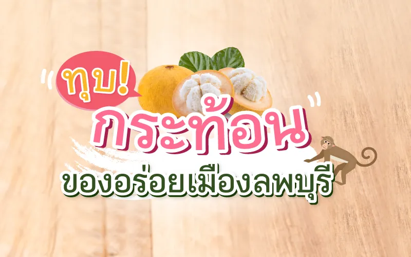 ทุบ! กระท้อนเมืองลพบุรี พันธุ์ไหนอร่อย หวานอมเปรี้ยวฉ่ำ