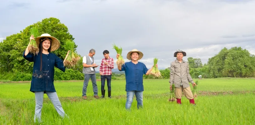 อาชีพหลังเกษียณ เกษตรกร