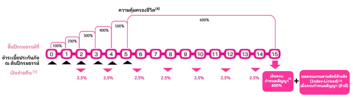 กราฟ 15 6 โปร Th