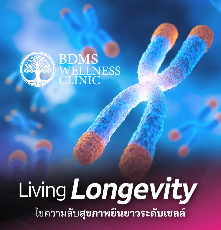 Bdms 750x780