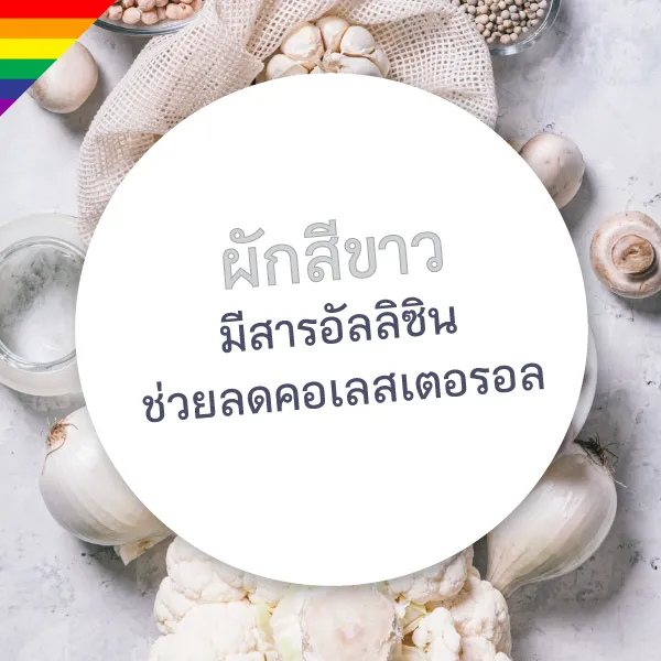 กินผักหลากสีalbum Blog6