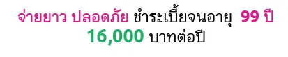 จ่ายยาว ปลอดภัย ชำระเบี้ยจนอายุ 99 ปี 16,000 บาทต่อปี