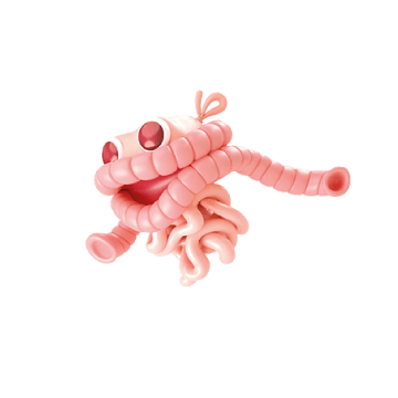 Activity DT Q3 Colon